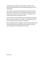 Prakses atskaite 'Prakse sākumskolā', 4.