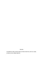 Prakses atskaite 'Prakse sākumskolā', 11.