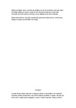 Prakses atskaite 'Prakse sākumskolā', 16.