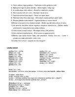 Konspekts 'Latīņu valoda grāmatika', 3.