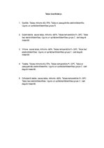 Paraugs 'Dzīvojamās ēkas projekts', 13.