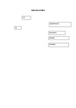 Paraugs 'Dzīvojamās ēkas projekts', 16.