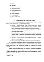 Referāts 'Vadītājs, vara un ētika uzņēmumā', 5.