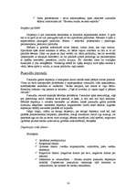 Referāts 'Informācijas meklēšanas ("bibliotēkas”) prakse', 18.