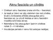 Prezentācija 'Aknu fasciolas', 5.