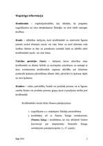 Referāts 'Kredīti', 2.