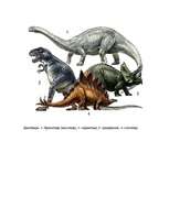Referāts 'Динозавры', 9.