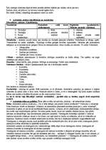 Konspekts 'Filosofija', 5.