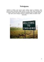 Referāts 'Zimbabves ekonomika', 18.