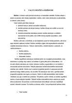 Referāts 'Valsts nodokļi un to vieta budžeta veidošanā', 13.