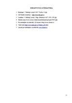 Referāts 'Valsts nodokļi un to vieta budžeta veidošanā', 17.