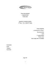 Biznesa plāns 'SIA "Fleur du Destinee" biznesa plāns', 1.