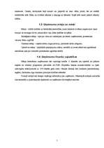 Biznesa plāns 'SIA "Fleur du Destinee" biznesa plāns', 5.