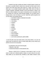 Biznesa plāns 'SIA "Fleur du Destinee" biznesa plāns', 11.