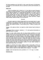 Referāts 'Sporta kluba mārketinga analīze', 23.