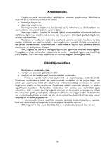 Prakses atskaite 'Prakses atskaite finanšu grāmatvedībā', 54.