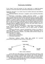 Prakses atskaite 'Prakses atskaite finanšu grāmatvedībā', 58.