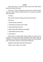 Referāts 'Mobilo telefonu akumulatoru darbība un efektivitāte', 3.