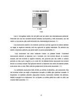 Referāts 'Mobilo telefonu akumulatoru darbība un efektivitāte', 10.