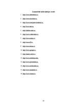 Referāts 'Mobilo telefonu akumulatoru darbība un efektivitāte', 30.