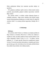 Biznesa plāns 'Jauna uzņēmuma veidošana', 11.