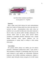 Biznesa plāns 'Jauna uzņēmuma veidošana', 12.