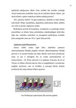 Biznesa plāns 'Jauna uzņēmuma veidošana', 13.