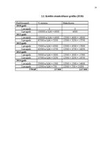 Biznesa plāns 'Jauna uzņēmuma veidošana', 18.