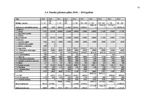 Biznesa plāns 'Jauna uzņēmuma veidošana', 20.