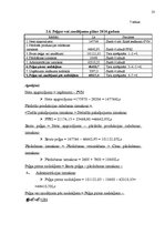 Biznesa plāns 'Jauna uzņēmuma veidošana', 23.