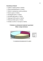 Biznesa plāns 'Jauna uzņēmuma veidošana', 26.