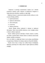 Biznesa plāns 'Jauna uzņēmuma veidošana', 27.