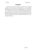 Referāts 'Hard Discs', 4.