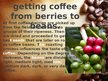 Prezentācija 'Coffee', 3.