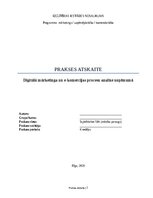 Prakses atskaite 'Digitālā mārketinga un e-komercijas procesu analīze uzņēmumā', 1.