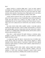 Prakses atskaite 'Digitālā mārketinga un e-komercijas procesu analīze uzņēmumā', 4.