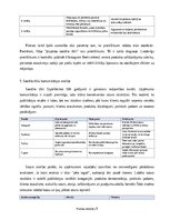 Prakses atskaite 'Digitālā mārketinga un e-komercijas procesu analīze uzņēmumā', 9.