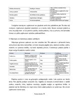 Prakses atskaite 'Digitālā mārketinga un e-komercijas procesu analīze uzņēmumā', 10.