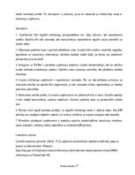 Prakses atskaite 'Digitālā mārketinga un e-komercijas procesu analīze uzņēmumā', 17.
