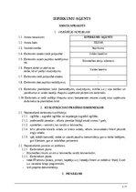 Paraugs 'Iepirkumu aģents - amata apraksts', 1.