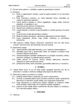 Paraugs 'Iepirkumu aģents - amata apraksts', 2.