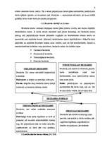 Referāts 'Nodarbinātības, bezdarba problēmas un risinājumi Latvijā un ES', 6.