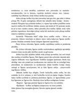 Referāts 'Senās Grieķijas sociālā un tiesību sistēma', 5.