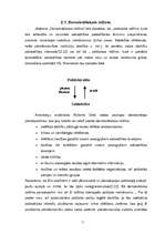 Referāts 'Politiskie režīmi', 7.