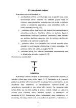 Referāts 'Politiskie režīmi', 9.