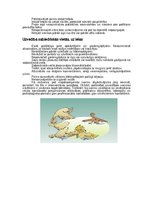 Referāts 'Labas uzvedības normas', 6.