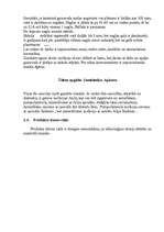 Biznesa plāns 'Biznesa plāna paraugs', 4.