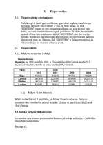 Biznesa plāns 'Biznesa plāna paraugs', 5.