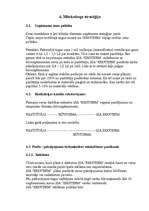 Biznesa plāns 'Biznesa plāna paraugs', 8.