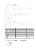 Biznesa plāns 'Biznesa plāna paraugs', 9.